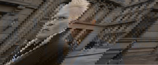 animais fantásticos