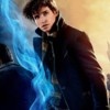 10 referências a Harry Potter descobertas em Animais Fantásticos