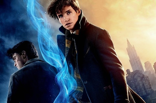 10 referências a Harry Potter descobertas em Animais Fantásticos