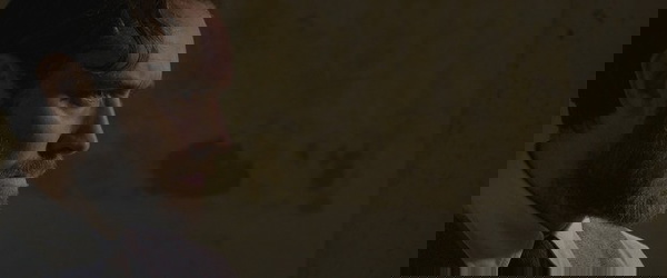 animais fantásticos