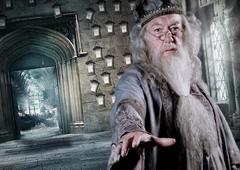 A vida de Dumbledore, um dos maiores bruxos do mundo de Harry Potter