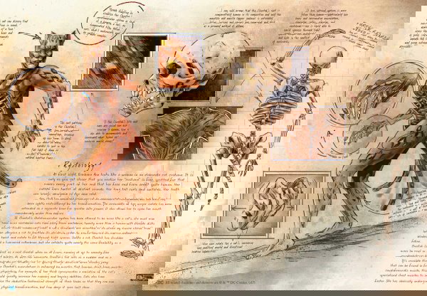 anatomia de um metahumano