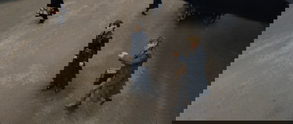 animais fantásticos 2