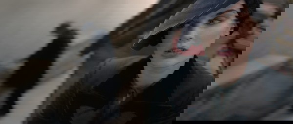 animais fantásticos 2