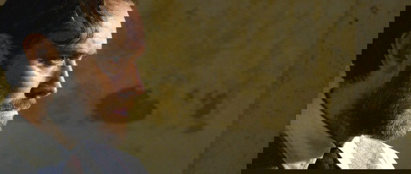 animais fantásticos 2