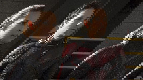 homem formiga e vespa