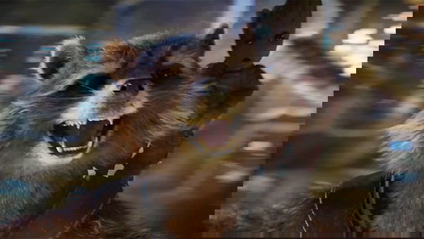 Rocket Raccon e Baby Groot