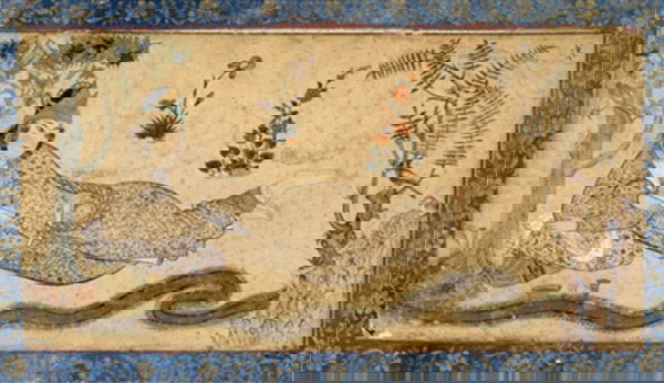 saba