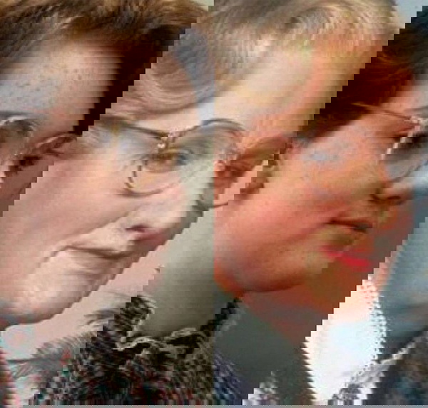 stranger things meme