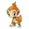 Chimchar
