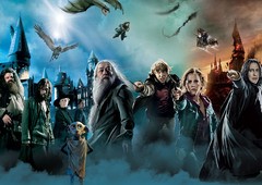 53 feitiços do universo HARRY POTTER explicados! - Aficionados