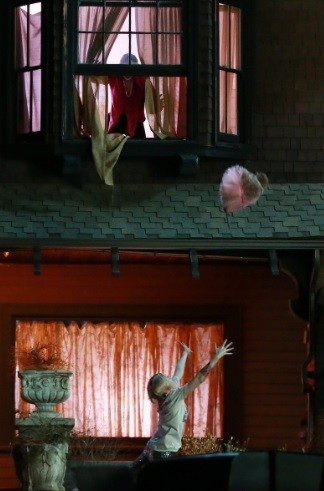 aves de rapina coringa