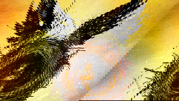 Harry Potter e a Criança Amaldiçoada