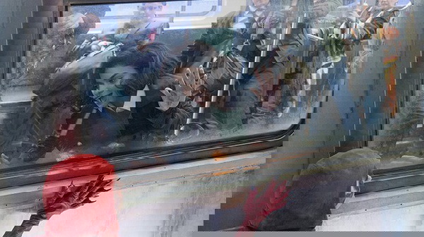 crimson-fox-powerless