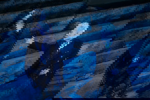 animais fantásticos