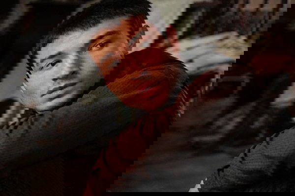 animais fantásticos