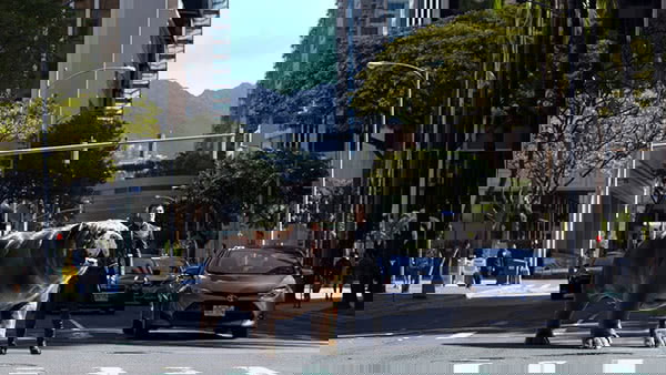 Raio Negro e Dentinho