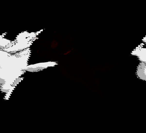 One-Punch Man
