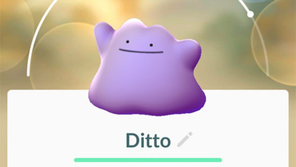 Ditto  Pokémon GO Brasil Amino