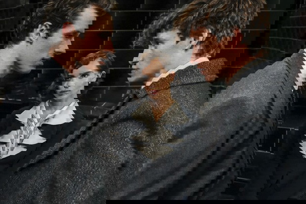 animais fantásticos