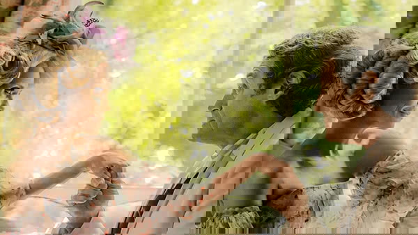 Easter e Mr. Wednesday