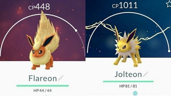 Pokemon GO - Saiba como Evoluir todas as Formas do Eevee ! Preparação Dia  da Comunidade Eevee 