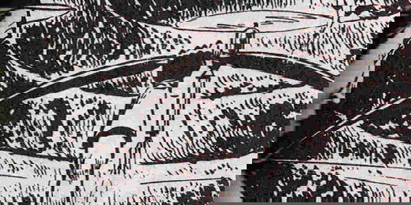 flecha-limpa-chaminés