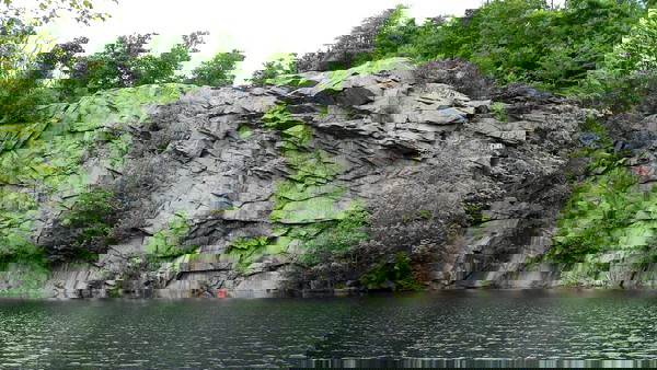 Floresta estadual Freetown-Fall River