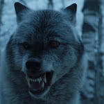 Nymeria: o lobo de Arya Stark em Game of Thrones