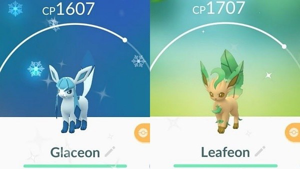 Eevee e suas evoluções [+dúvida][+HG]