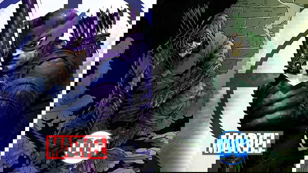 Gavião Arqueiro e Arqueiro Verde