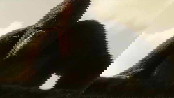 grodd