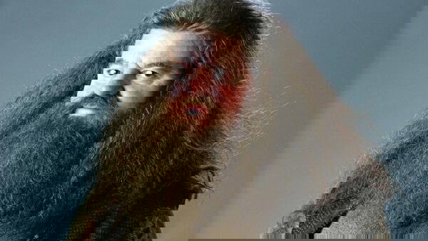 Harry Potter personagens