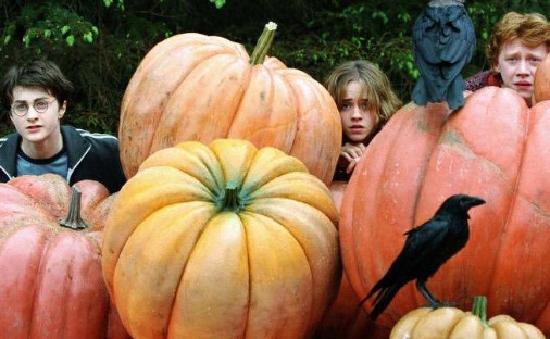 feitiços harry potter