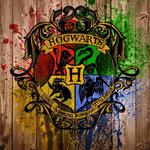 Casas de Harry Potter (Hogwarts): quais são e suas características