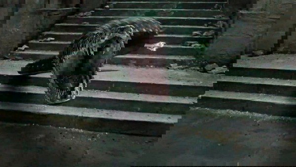 nagini