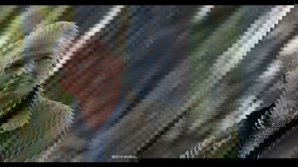 Chris Evans como Steve Rogers idoso