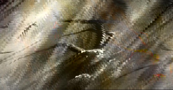 Artes conceituais de Homem-Aranha: Longe de Casa