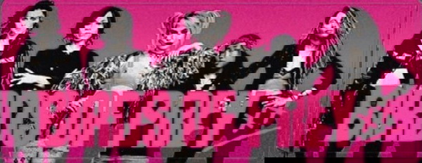 Nova imagem de Aves de Rapina