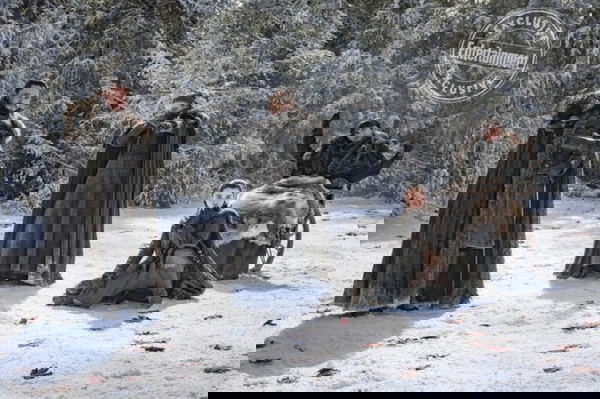 Imagem exclusiva de Game of Thrones