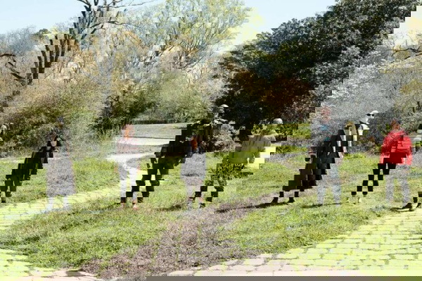 Imagem de Patrulha do Destino