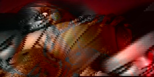 Annabelle 3: De Volta para Casa