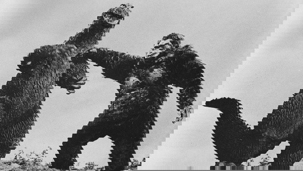 King Kong vs Godzilla