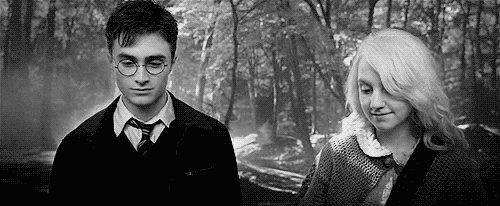 Luna e Harry