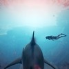 Maneater | Novo jogo de tubarão está sendo comparado a GTA!