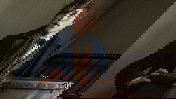 Carreira profissional