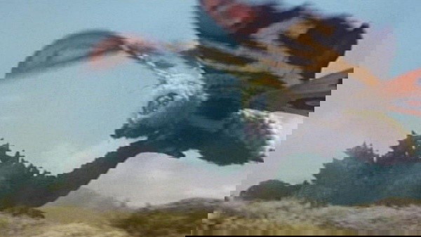 mothra vs godzilla