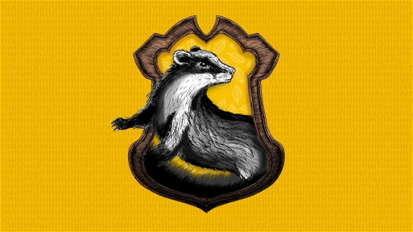 7 Características de Corvinal para você adorar essa Casa de Hogwarts -  Aficionados