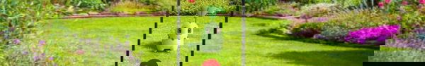 Pokémon GO: Dia Comunitário de setembro será dedicado a Chikorita!