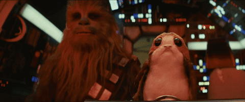 Chewbacca e Porg